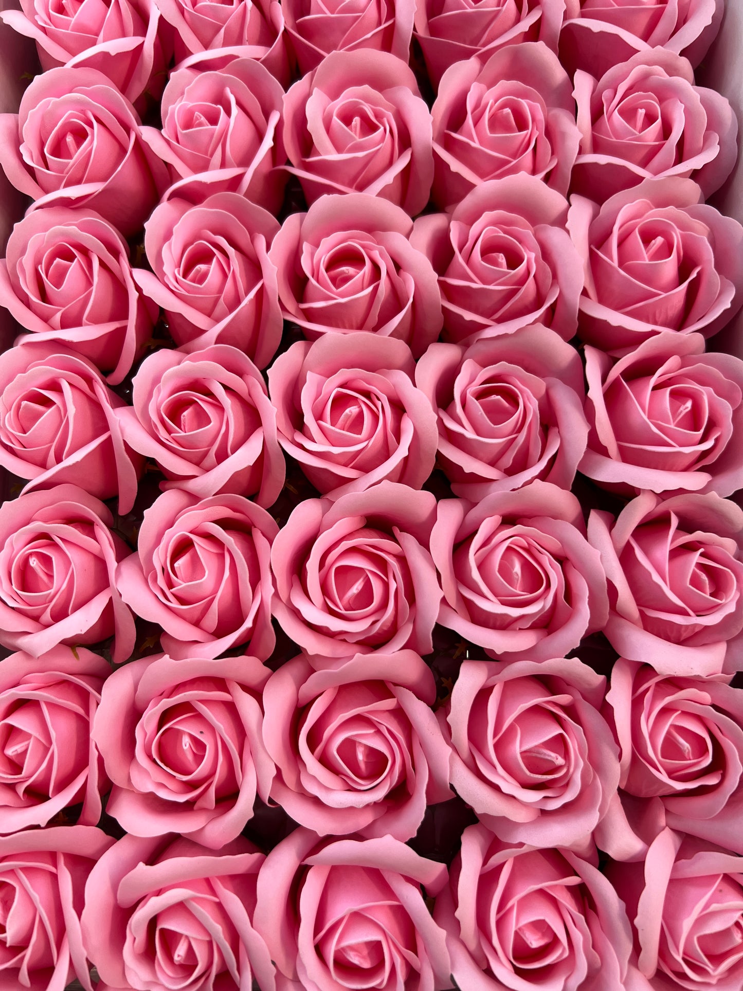 Trandafir de săpun 1000buc