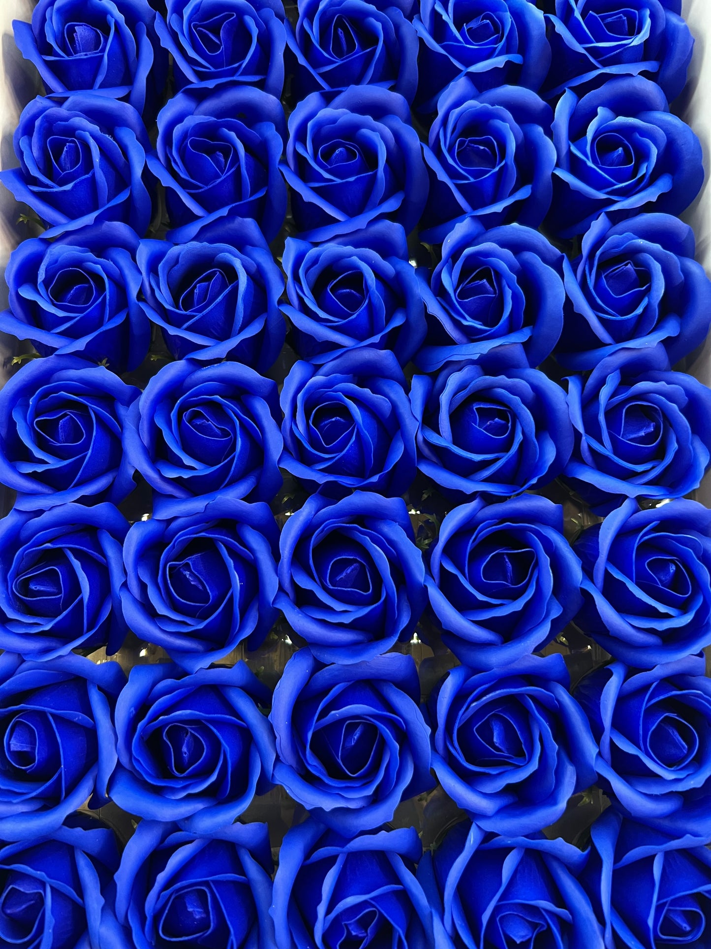 Trandafir de săpun 1000buc