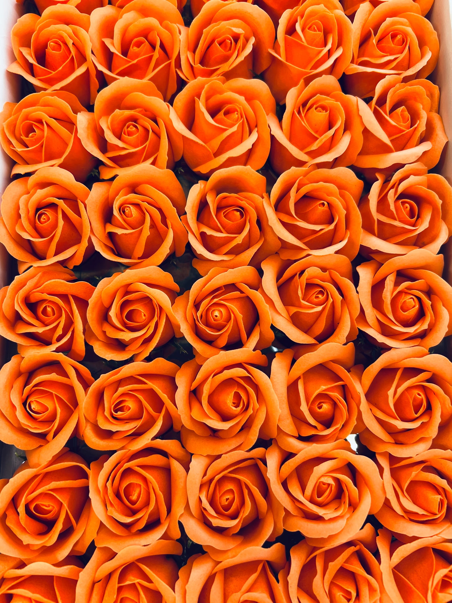 Trandafir de săpun 1000buc