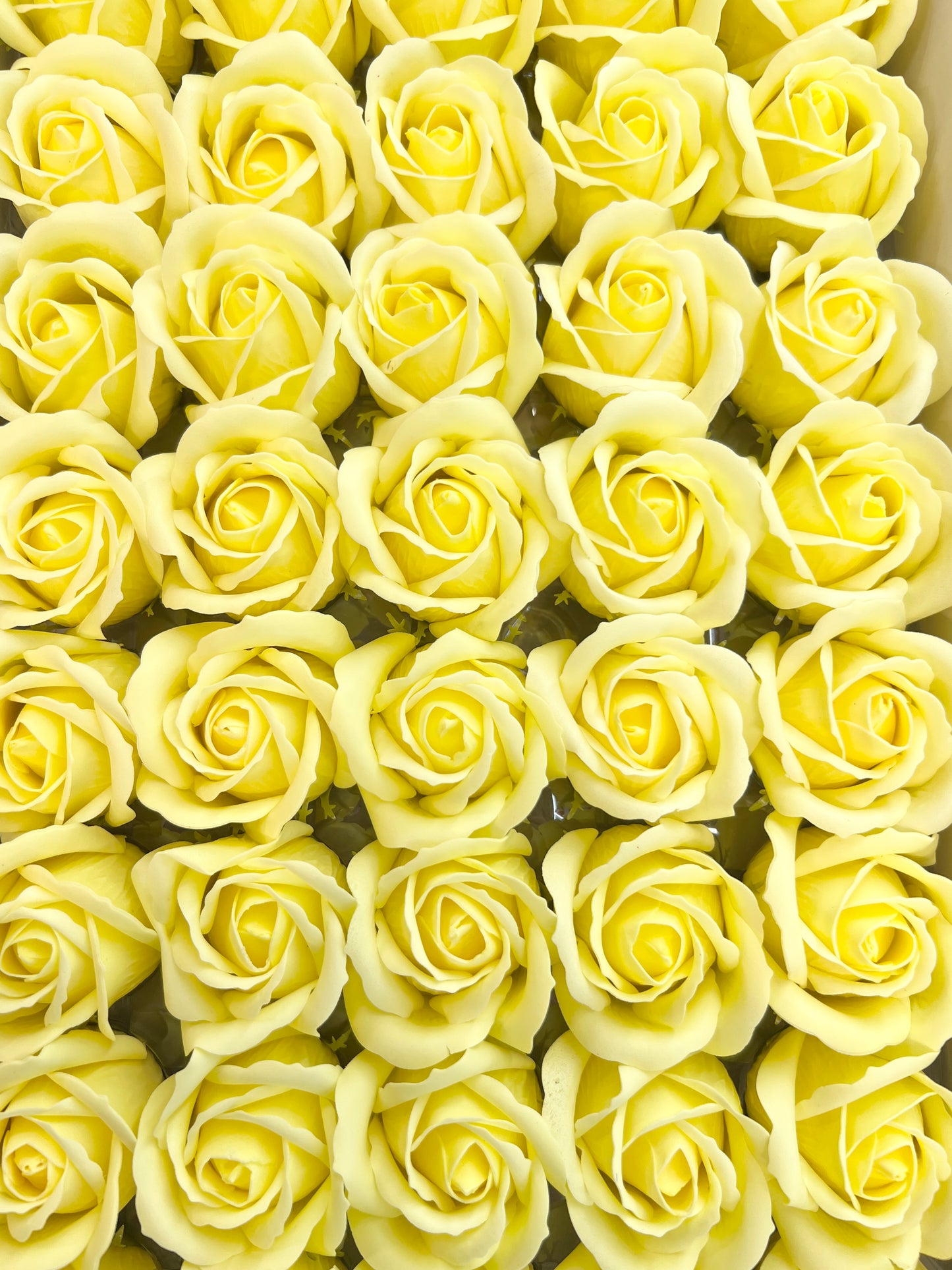 Trandafir de săpun 1000buc