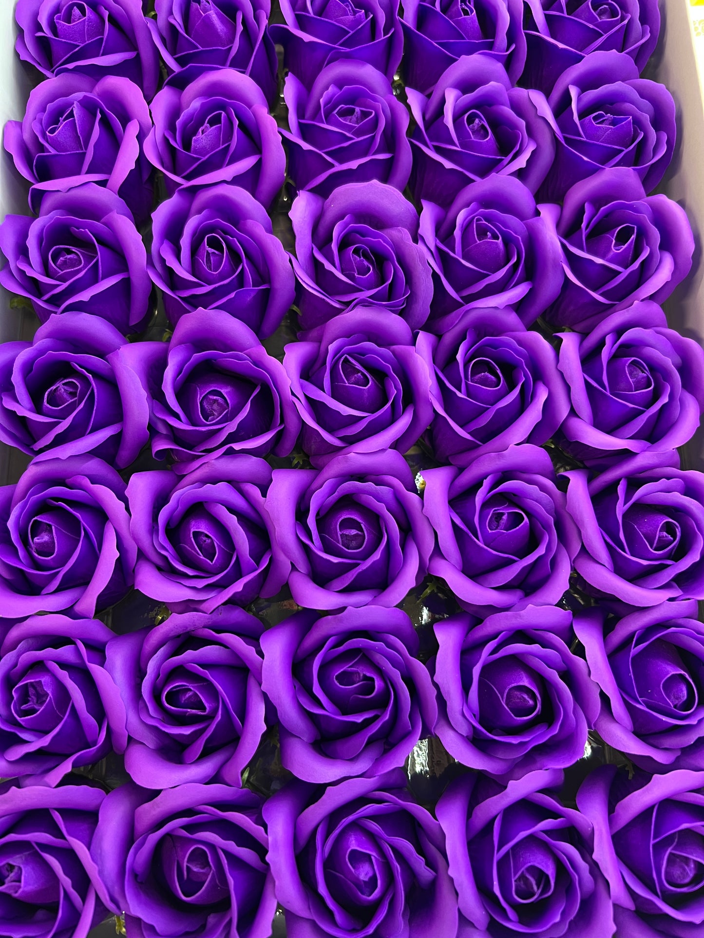 Trandafir de săpun 1000buc