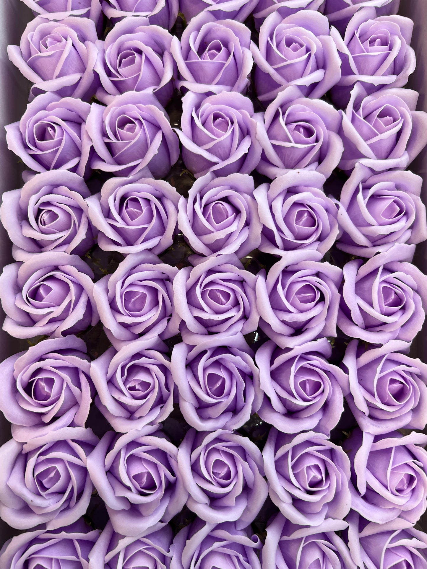 Trandafir de săpun 1000buc