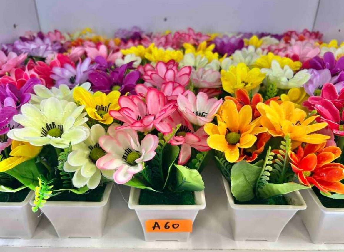 Flori cu ghiveci plastic 10buc