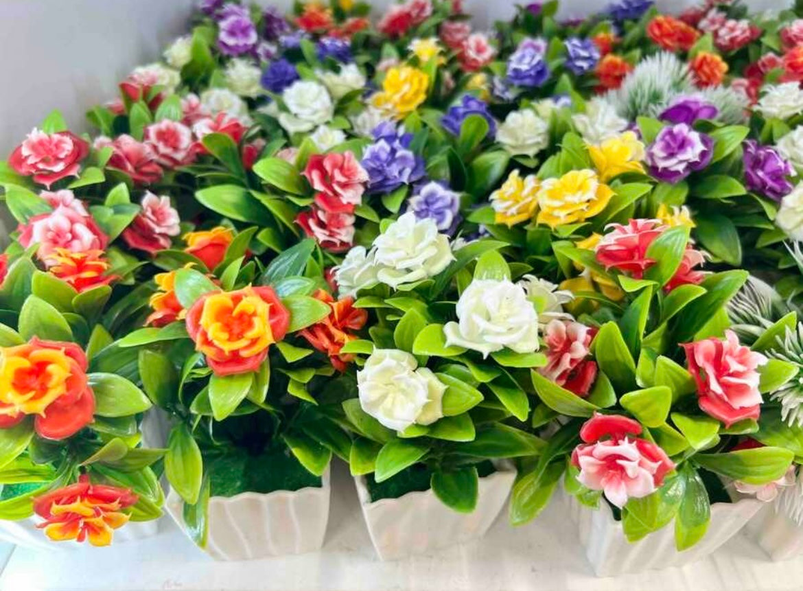 Flori cu ghiveci plastic 10buc