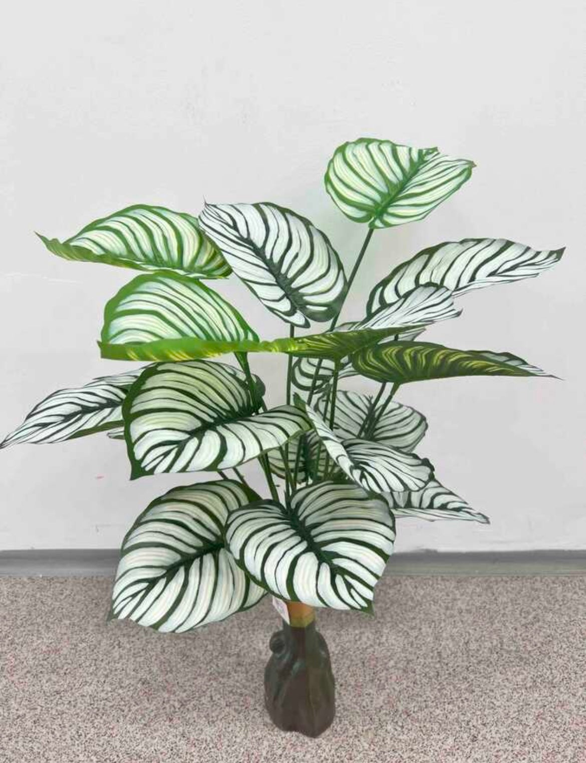 Plante verzi