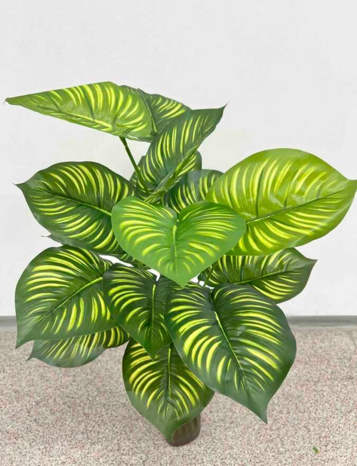 Plante verzi