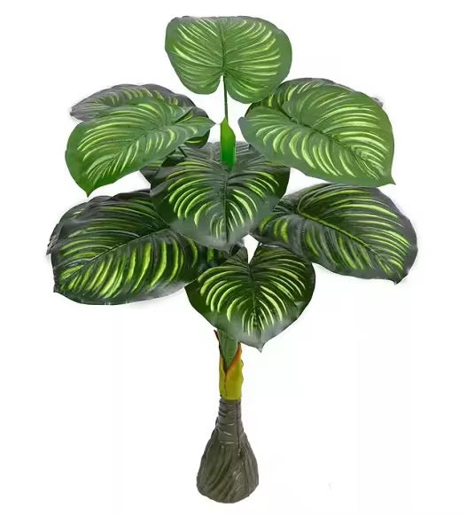 Plante verzi