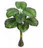 Plante verzi