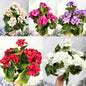 Flori Artificiale Buchet Mare 10Buc