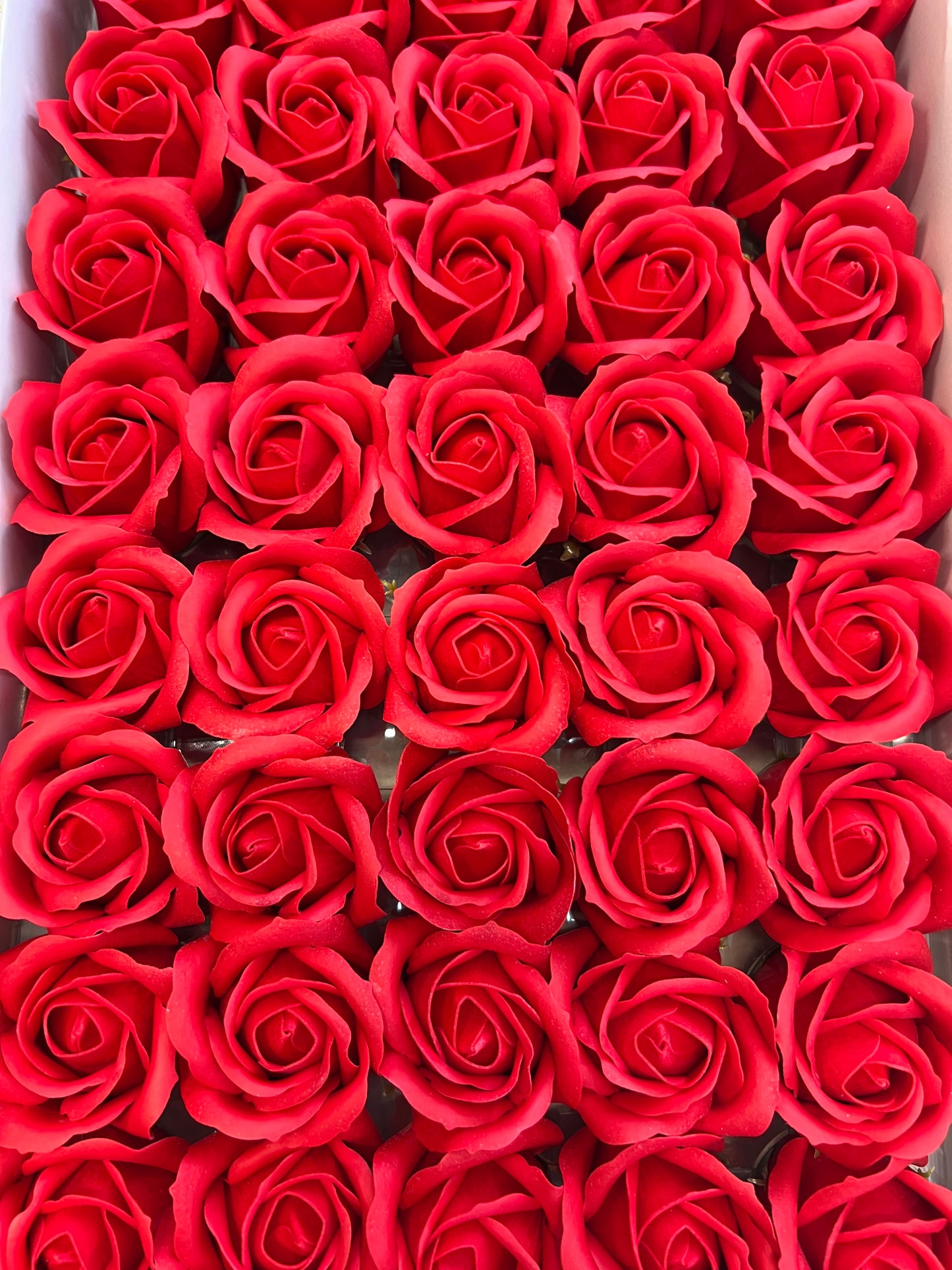 Trandafir de săpun 1000buc