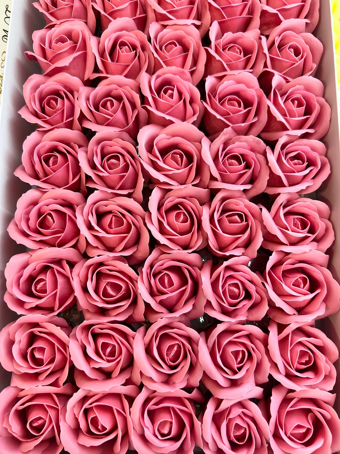 Trandafir de săpun 1000buc