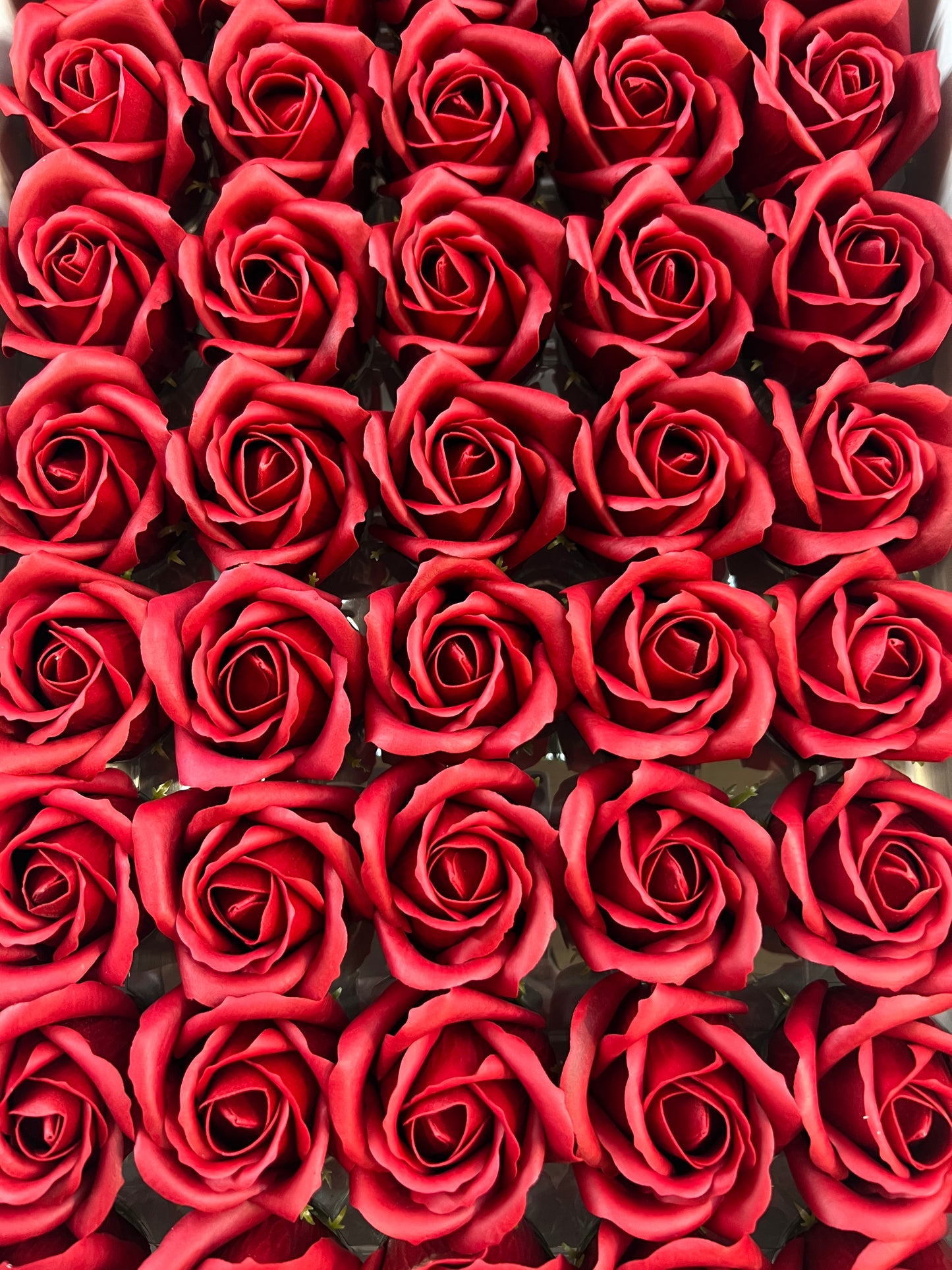 Trandafir de săpun 1000buc